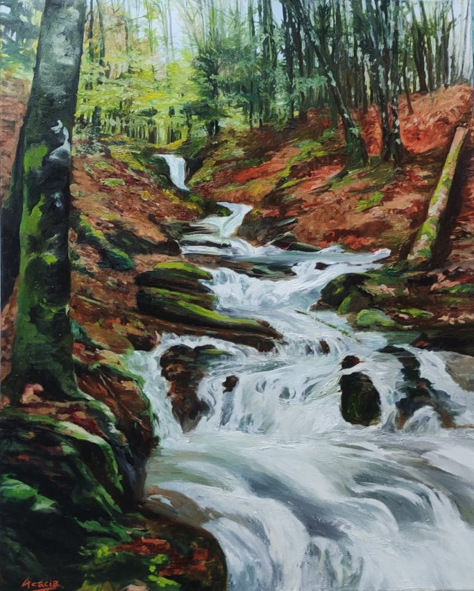 Bosque de Irati en Otoño Bosque de Irati en otoño